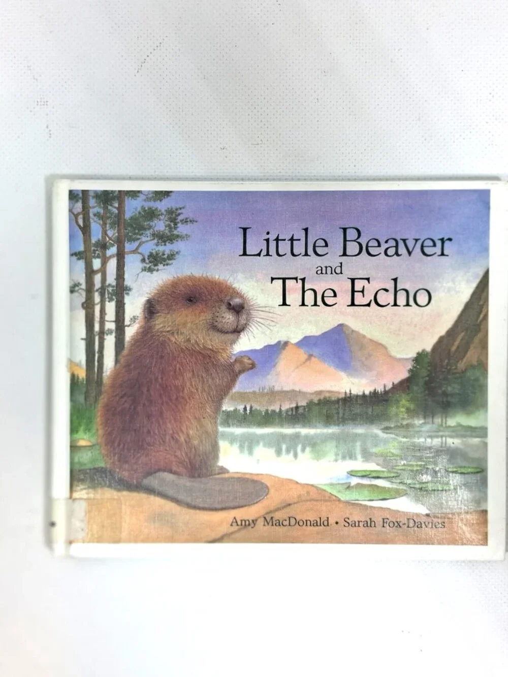 Little Beaver and The Echo by Amy MacDonald, Children's Book, 90s Y2K